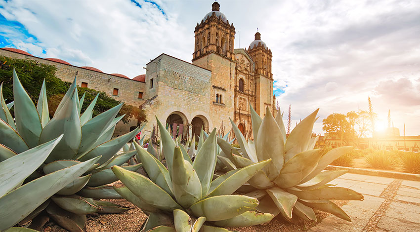 Oaxaca & Poughkeepsie: Sister Cities United by Road Scholar Participants