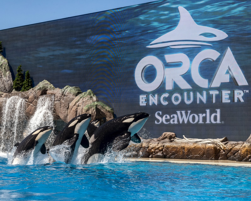 SeaWorld Attorney Charged with Insider Trading