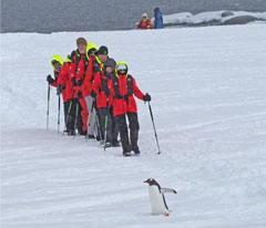 Antarctica