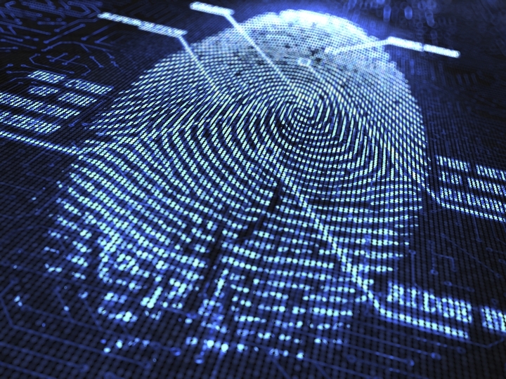 Verizon Finds Nine Kinds of Cyber Risk