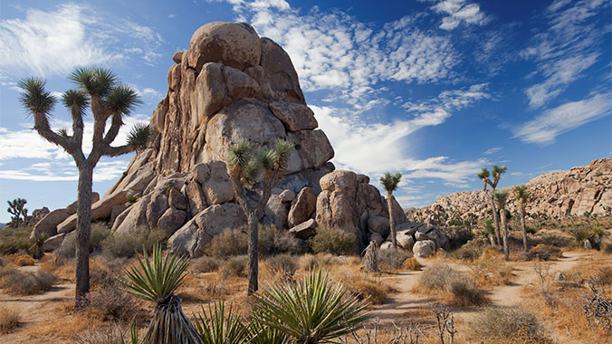 Hiking the High Desert: Joshua Tree National Park