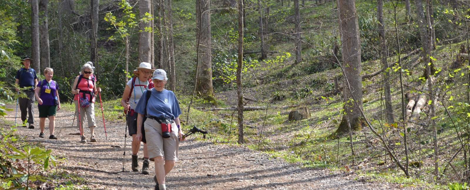 Great Smoky Mountains National Park