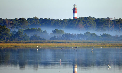 Chincoteague, Virginia