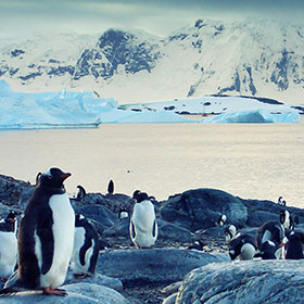 Antarctica Ocean Cruises