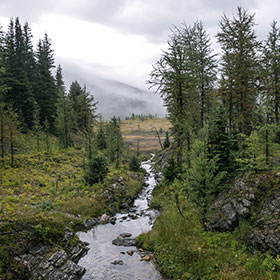 Hiking the Canadian Rocky Mountains