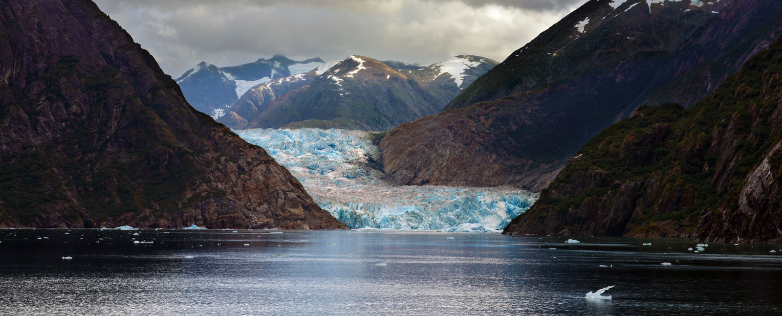 road scholar alaska trips