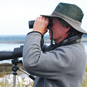 Birding Tours in Grand Manan Island