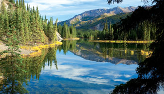 Denali National Park