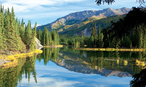 Denali National Park, Alaska