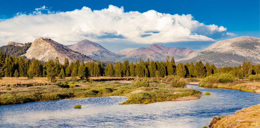 Yosemite National Park