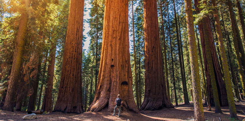 Yosemite National Park