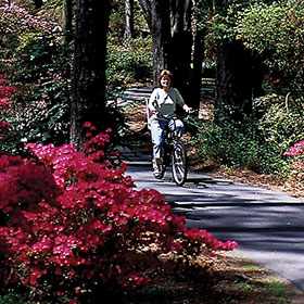 Road Scholar Biking Tours Jekyll Island and St. Simons