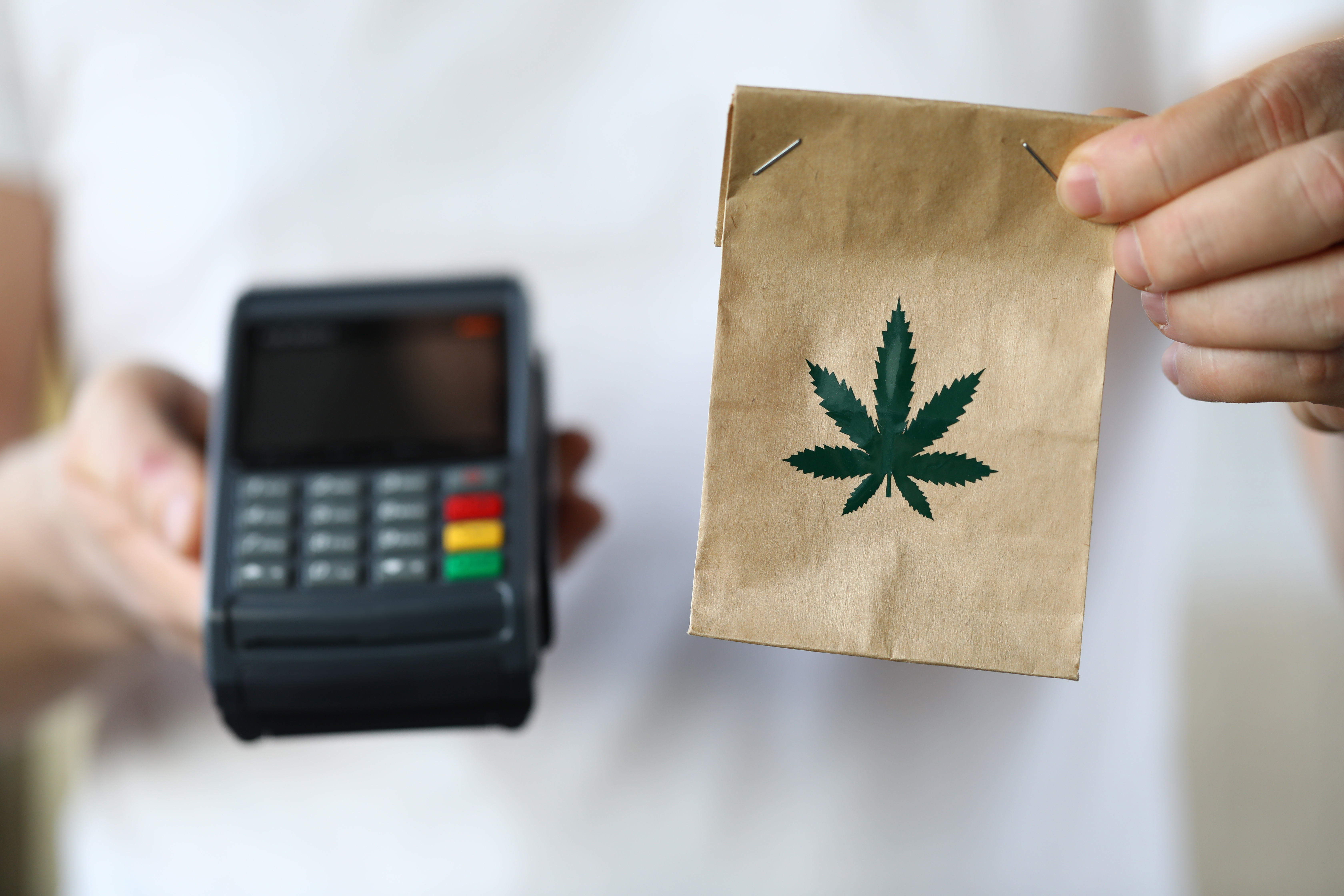 Cannabis & Marijuana Banking