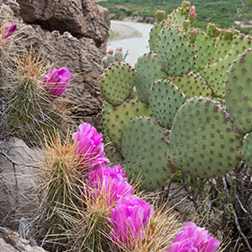 Walking Hiking Tours in Big Bend