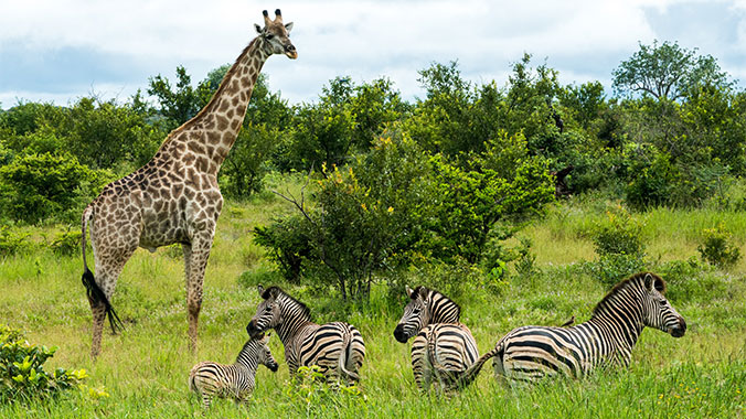 23458-safari-by-land-water-zimbabwe-namibia-botswana-10c.jpg