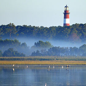 Biking on Eastern Virginia Shore