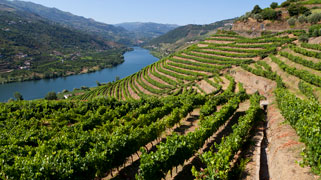 23416-portugal-smhoz.jpg