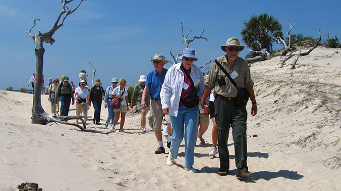 11603-florida-amelia-cumberland-islands-okefenokee-swamp-dunes-c.jpg