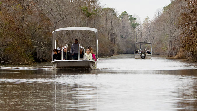 11603-florida-amelia-cumberland-islands-okefenokee-swamp-river-cruise-c.jpg