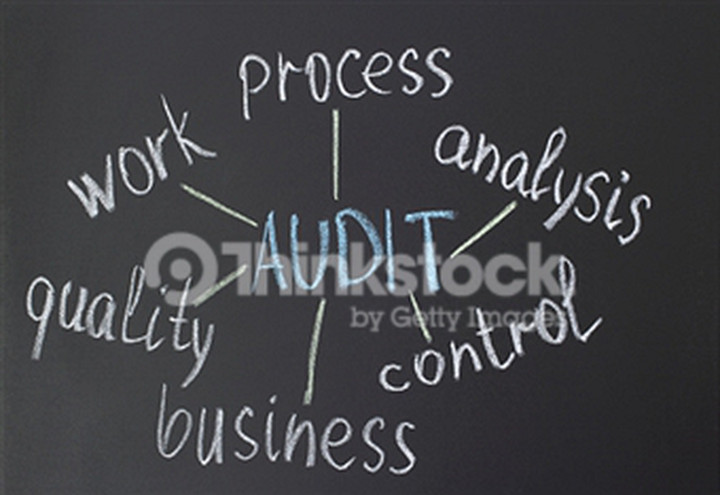 Big Firms Expanding Voluntary Audit Disclosures