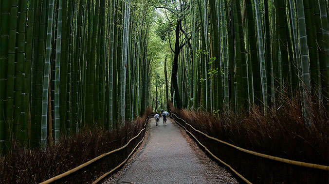 23294-japan-kyoto-arashiyama-lghoz.jpg