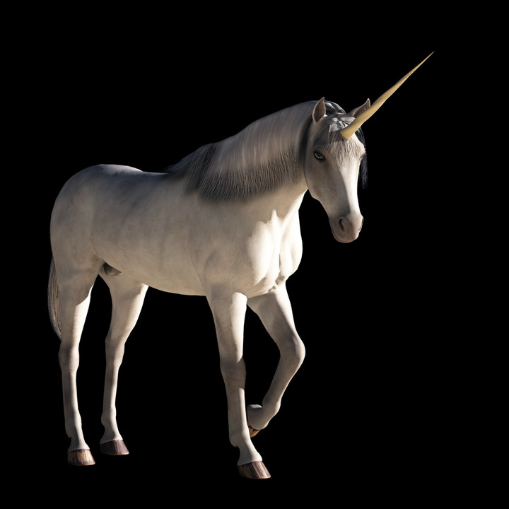 Money, Exit Options Drying Up for Unicorns