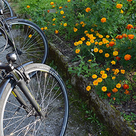 Bicycling Along the Danube