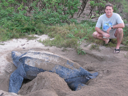 Upwell uses Zoom for seat turtle conservation