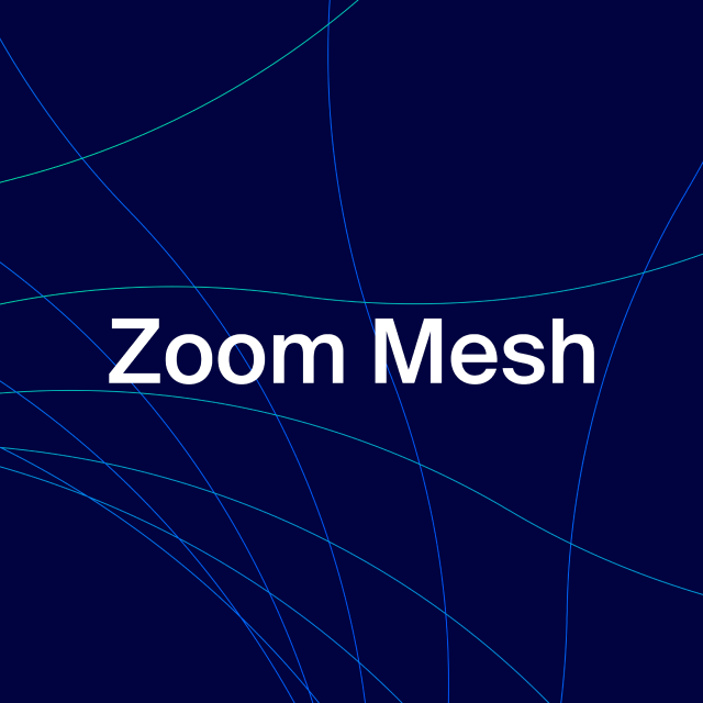 Zoom Mesh