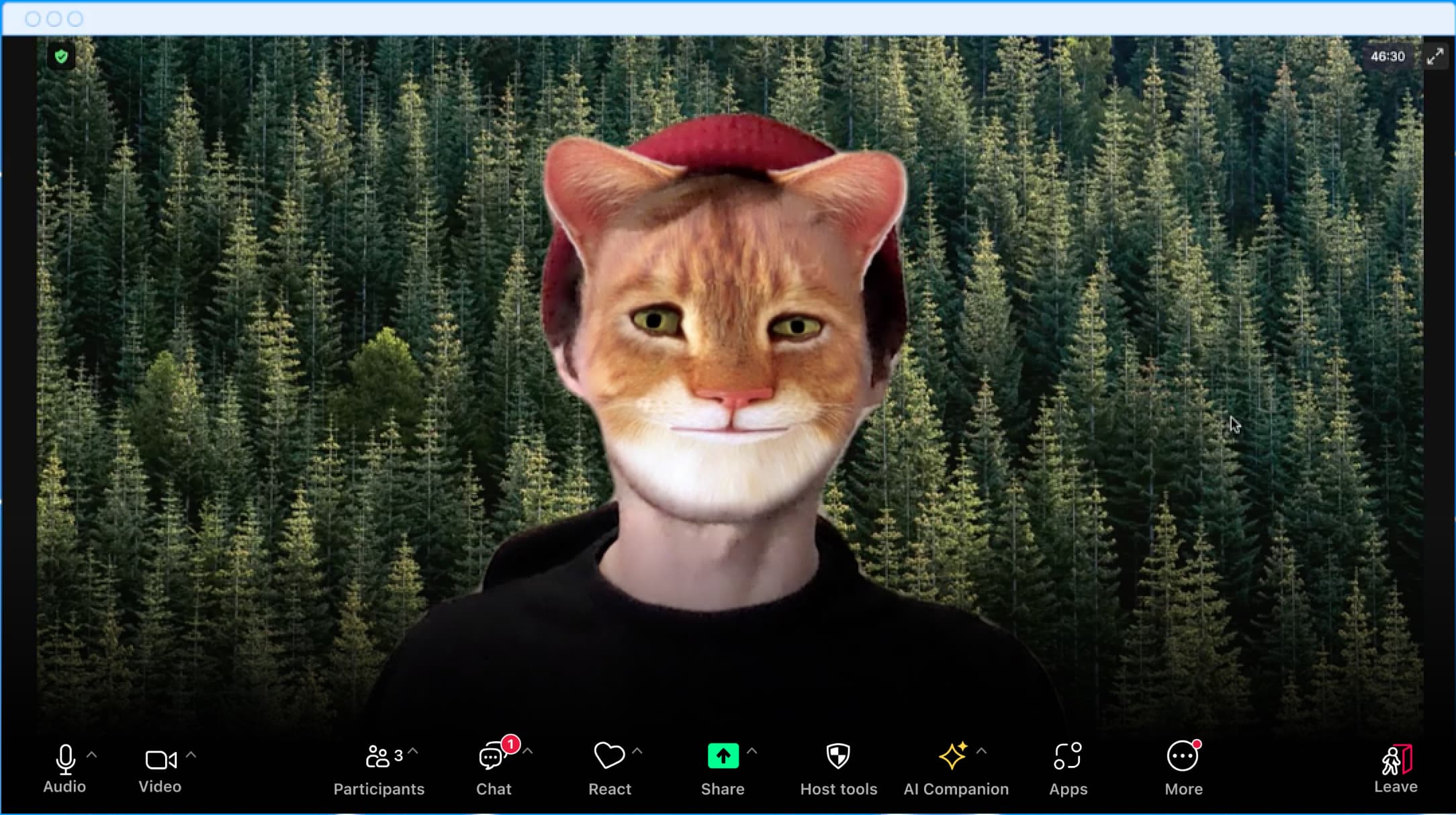 Man with the face of a cat on a Zoom call