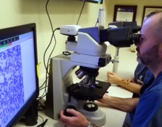 ученый смотрит в микроскоп